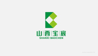 山西宝宸 塑造企业形象的艺术与科学