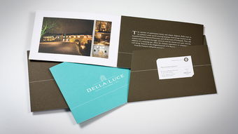 The Bella Group 企业形象设计与策划 塑造优雅与创新的品牌力