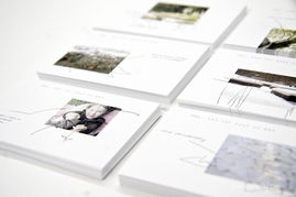 Verdarium企业形象设计 塑造绿色科技新典范