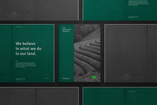 28款国外优秀画册设计欣赏 企业形象策划的视觉盛宴